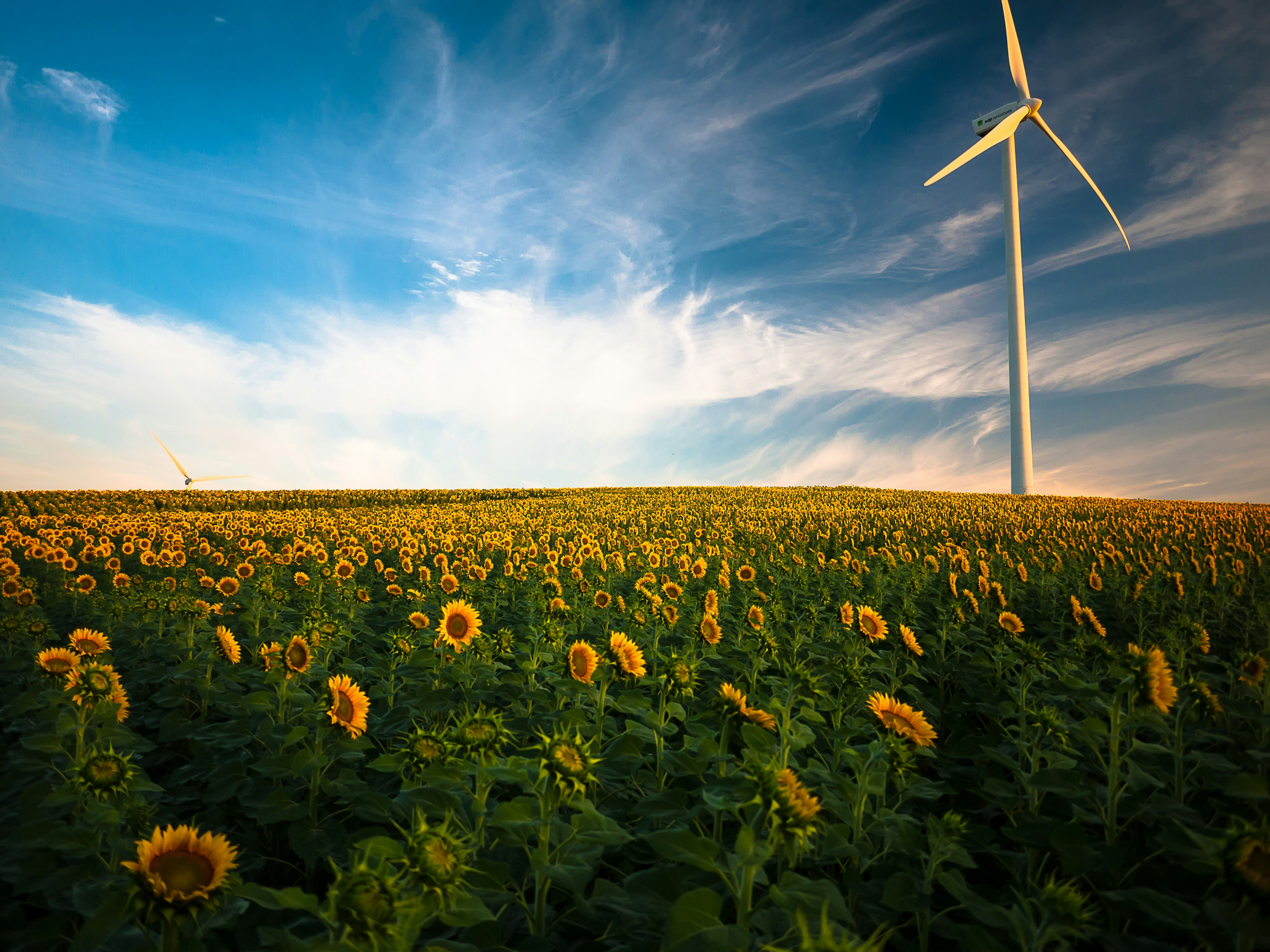 Why Green Education Matters for New Jersey Real Estate Agents