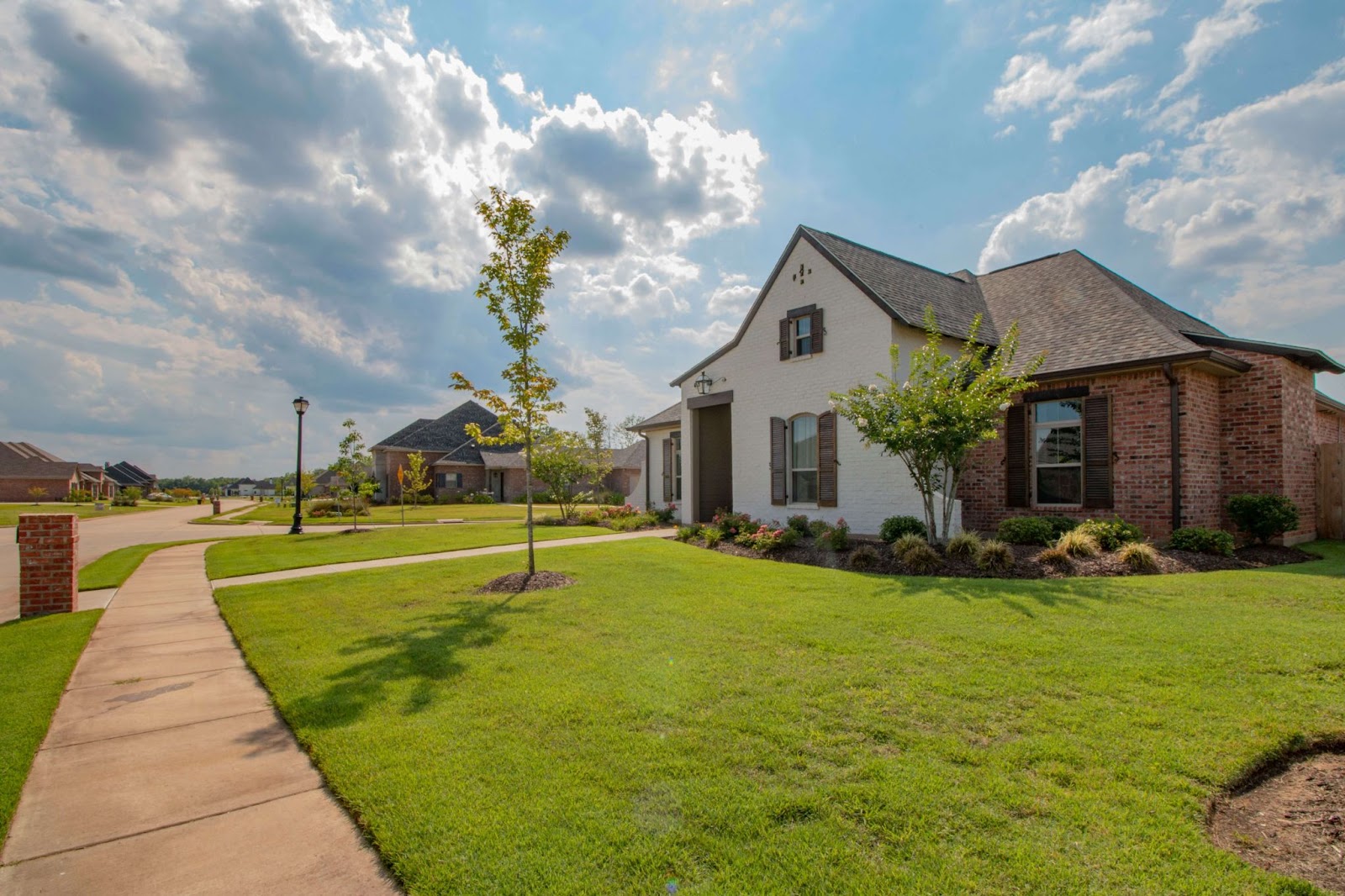 Veteran Realtors’ Advice for Launching a Successful Real Estate Journey