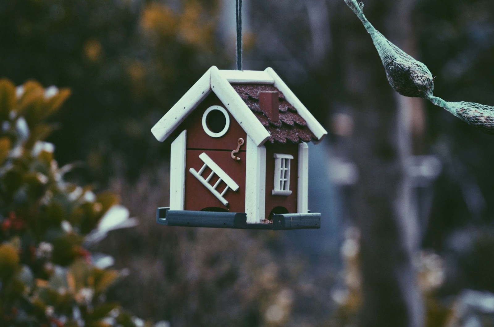 Preparing for the Top Housing Markets of 2024