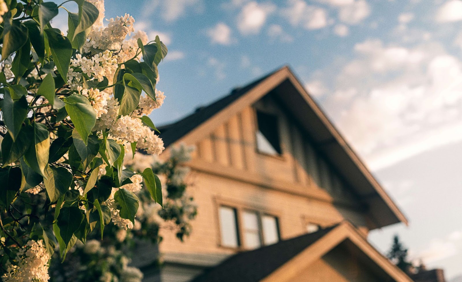 Maximizing Curb Appeal: Elevating Your Home’s First Impression
